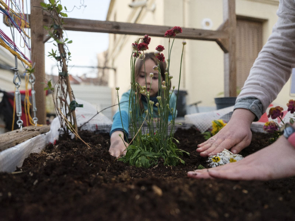 Une petite fille plante une fleur dans un bac plein de terre